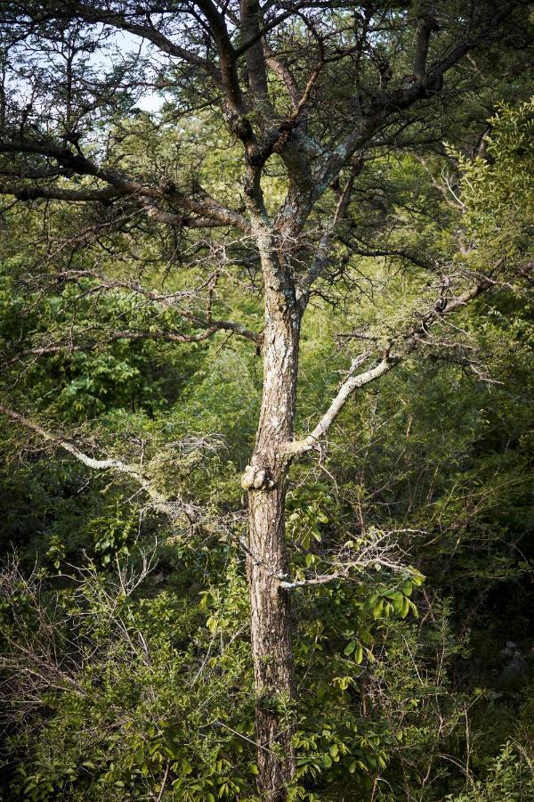 Letamo At Qwabi Private Game Reserve By Newmark Bela-Bela Esterno foto